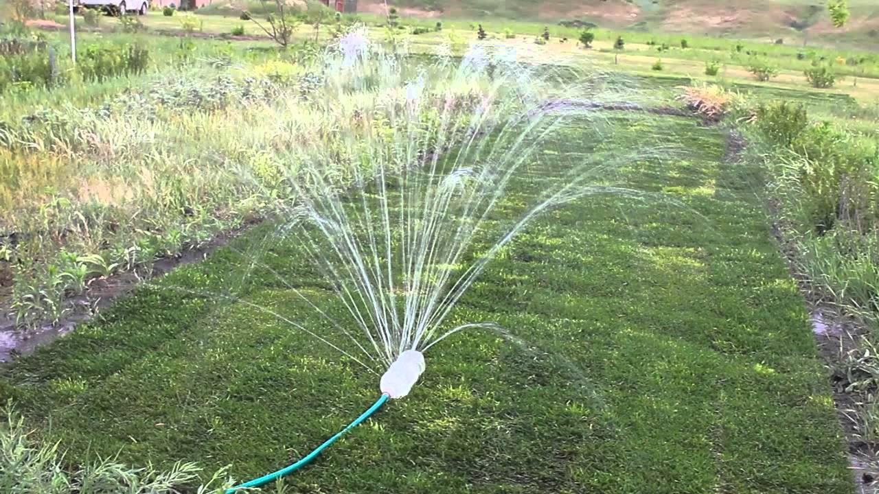 watering the beds in the country
