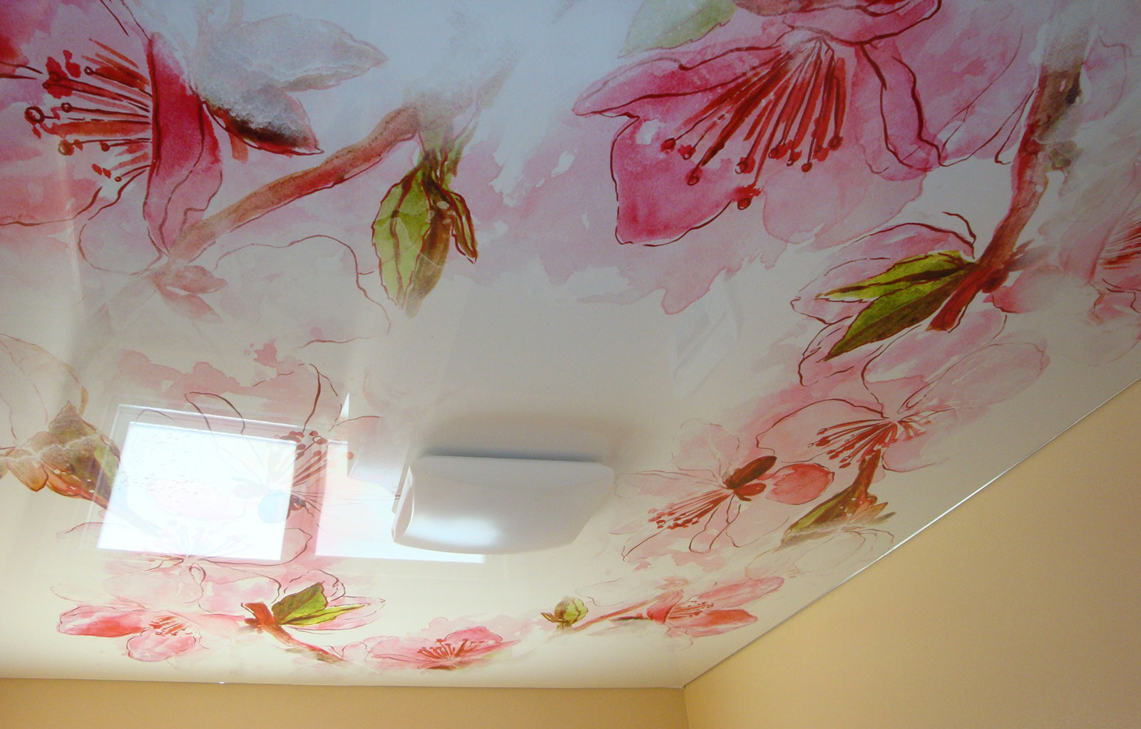 peinture au plafond dans la chambre