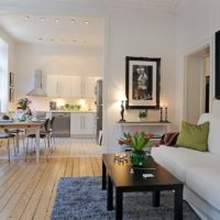 one bedroom apartment design photo ideas
