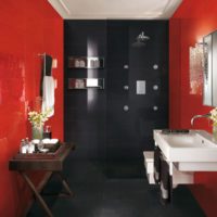 narrow bathroom interior design