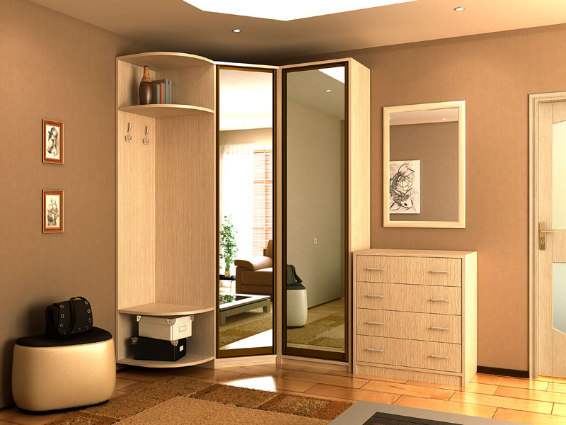wardrobe in the hallway with a mirror