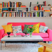 Red sofa and bookshelves in the living room