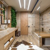 I ricchi interni del bagno combinato in una casa privata