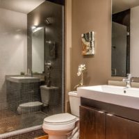 Miroirs dans la salle de bain combinée
