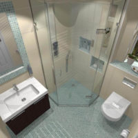 Combined bathroom with a glass shower