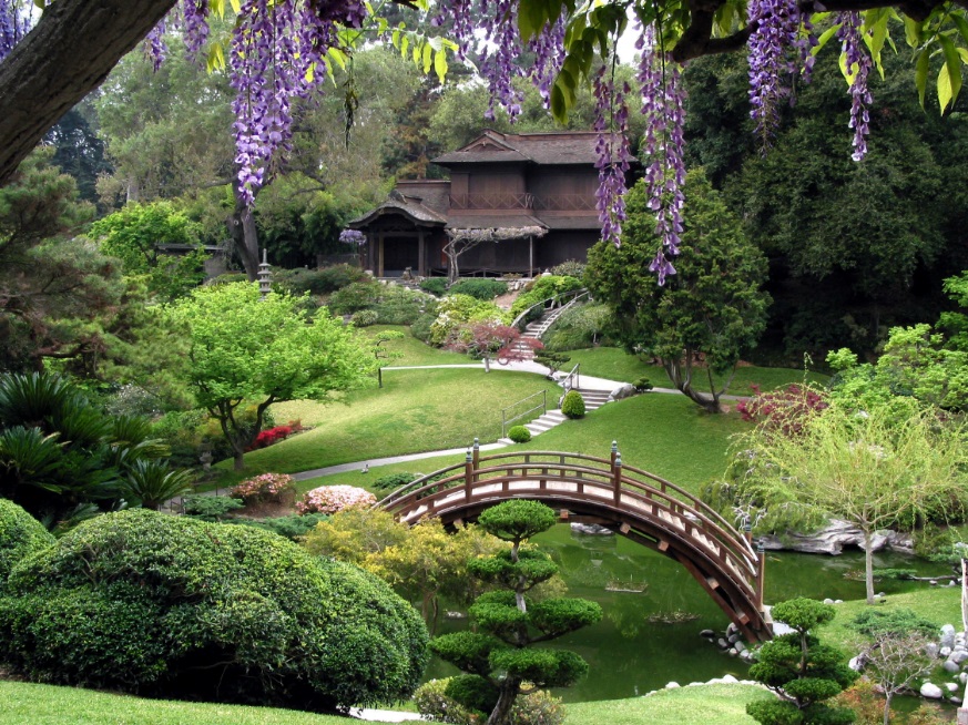 Japanese style in the landscaped garden