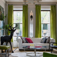 Green curtains with rings on the living room window
