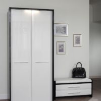 Wardrobe with glossy doors in the hallway