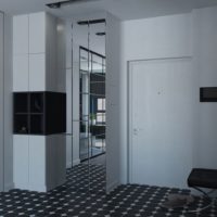 Designer hallway in gray colors