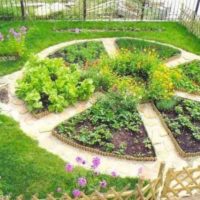 Do-it-yourself flowerbed on a garden plot