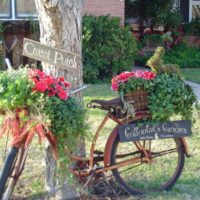 Old bicycle as a garden composition