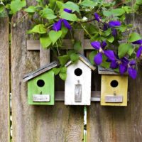 Birdhouses on a wooden fence