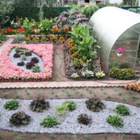 Polycarbonate greenhouse and flowerbed in the garden