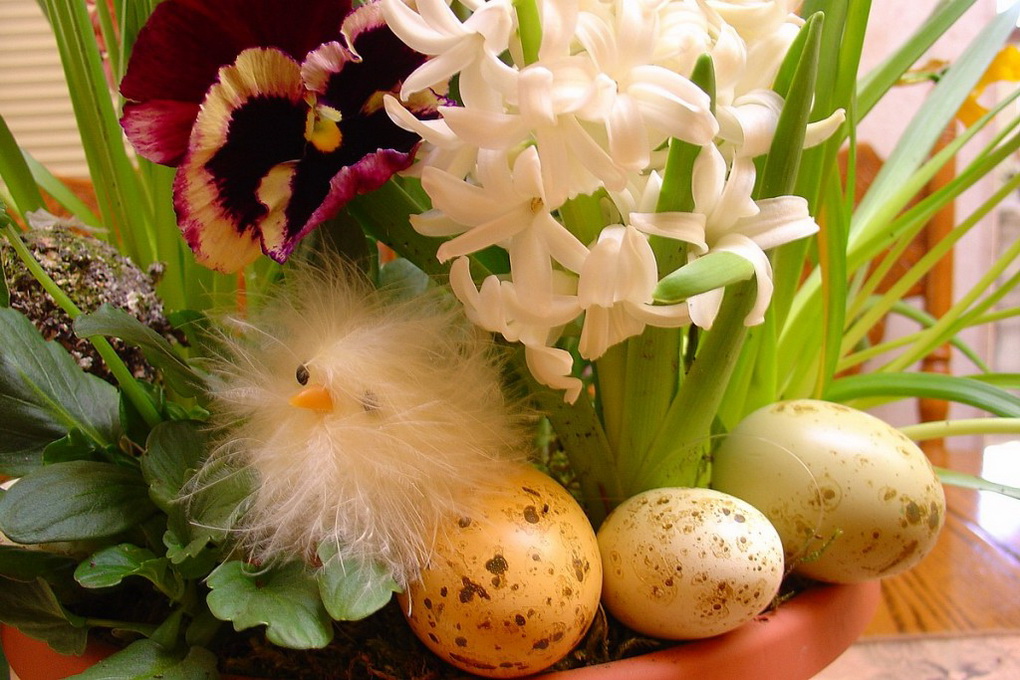 Faire des fleurs et des plantes à l'intérieur pour Pâques