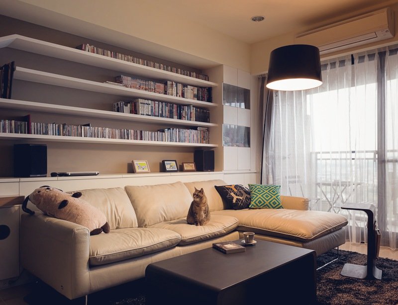 Bookshelves over a living room sofa