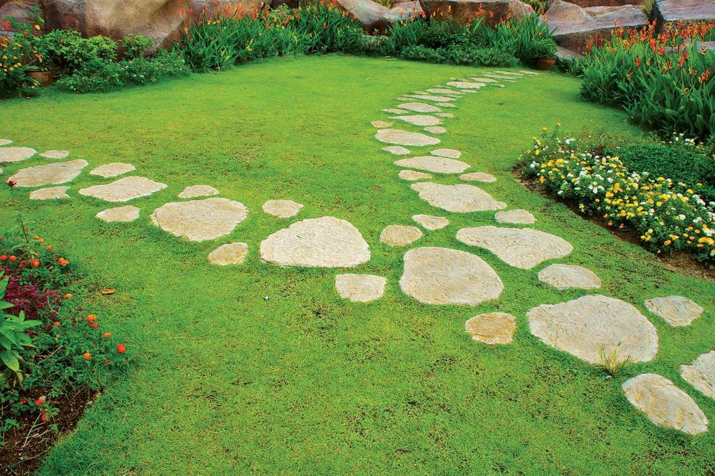 Flat Stone Garden Path