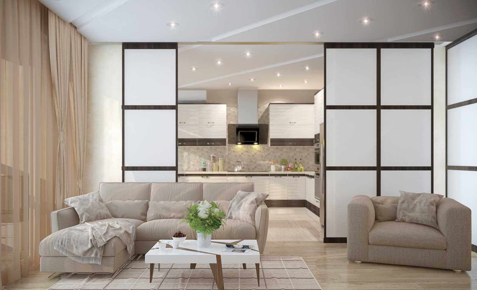 the idea of ​​using partitions in the design of an apartment