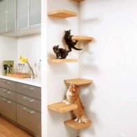 idea of ​​unusual design shelves picture