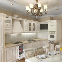 An example of a bright kitchen style project picture