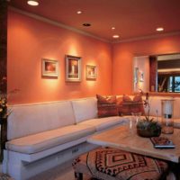 an example of combining an unusual peach color in the style of an apartment picture