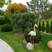 Sculpture of a swan in the garden
