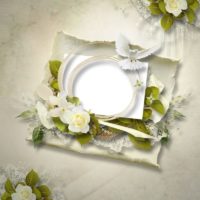 Wedding plate on the wedding table