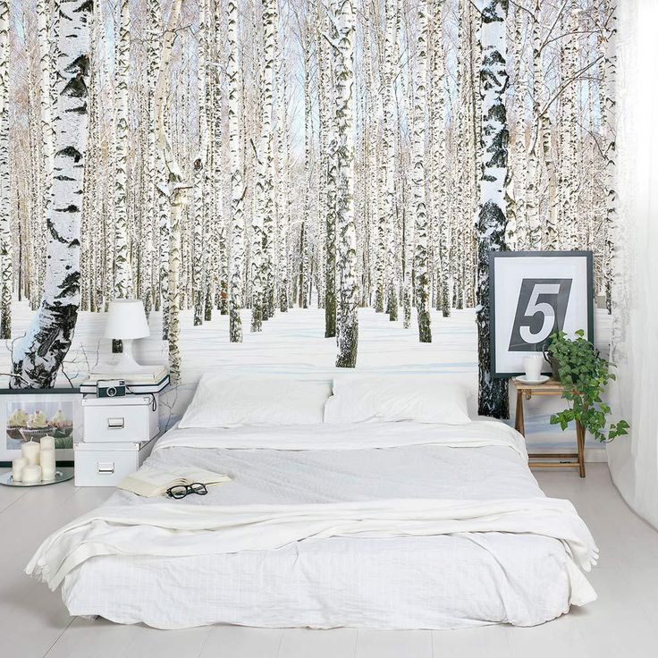 3D photo wallpaper with birches on the bedroom wall