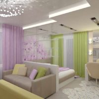 variant of the bright design of the living room bedroom 20 meters picture