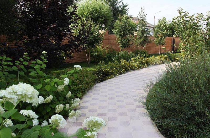 Landscaped garden path