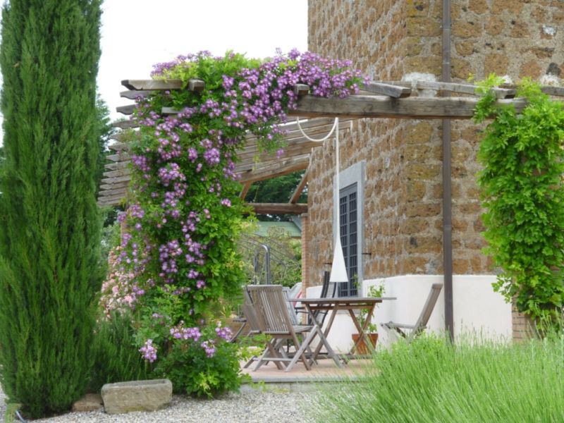 Pergola with blooming clematis in the design of a small garden