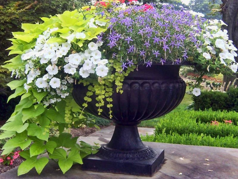 Flowerpot with landscaping of a country garden