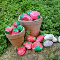 Colored stones for decorating the garden