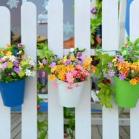 Bright flower pots on a wooden fence