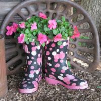 Old boots as new flower pots