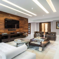 Wood wall in bright living room
