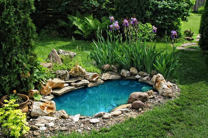 Bassin décoratif dans le jardin