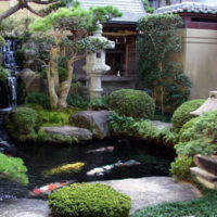 Corner of a Japanese garden in a summer cottage