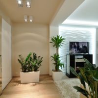 Living plants in the design of a studio apartment