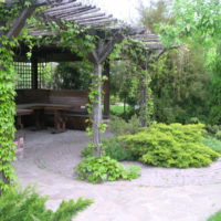 Old pergola with wooden benches
