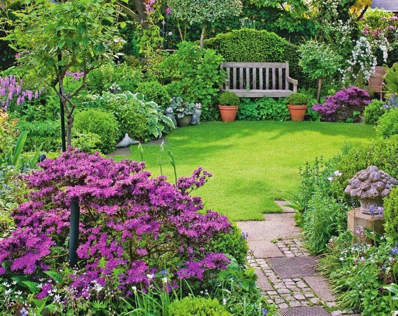A small lawn of a country garden with purple bushes