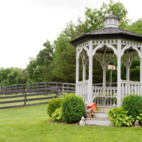 Hosts and arborvitae in front of a gazebo in a classic style