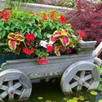 Flowerbed-cart with flowers in the decoration of a garden pond