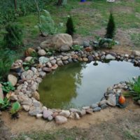Do-it-yourself small pond in the garden