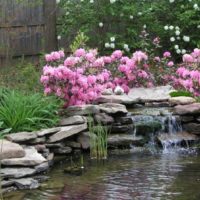 Pink flowers over artificial waterfall
