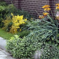 Perennials in front of a brick fence