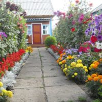 Flowerbeds along the edges of the garden path