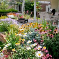 Flowerbed with blooming perennials in front of an open terrace