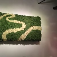 Moss decoration for living room decoration