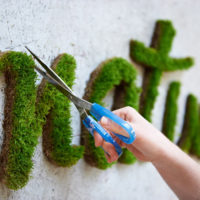 Moss stabilized graffiti