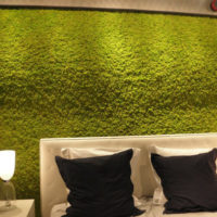 Moss-stabilized wall decoration over the head of the bed